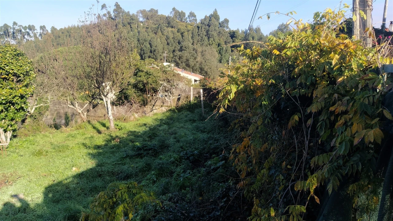 Terreno para Venda em Caminha (Matriz) e Vilarelho Foto 18