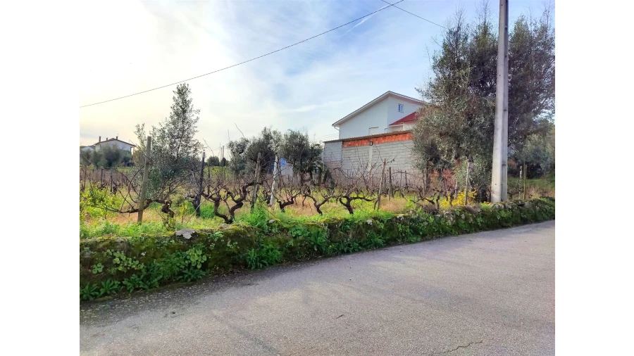 Terreno para Venda em Insua