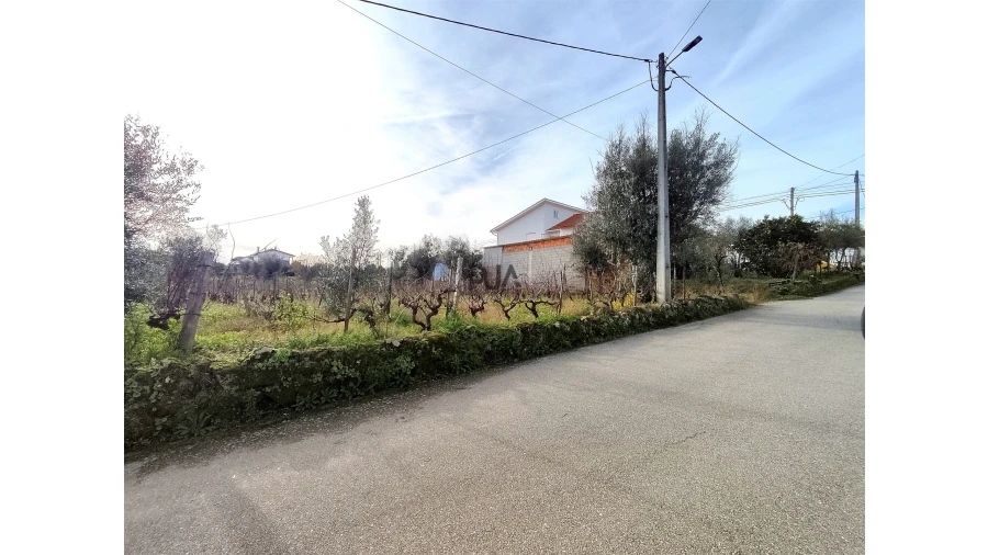 Terreno para Venda em Insua Foto 4