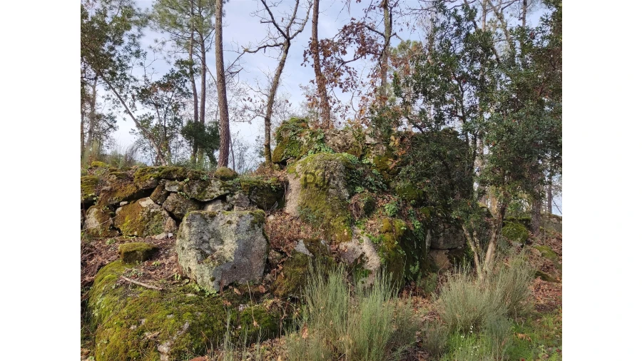 Terreno para Venda em Insua Foto 4