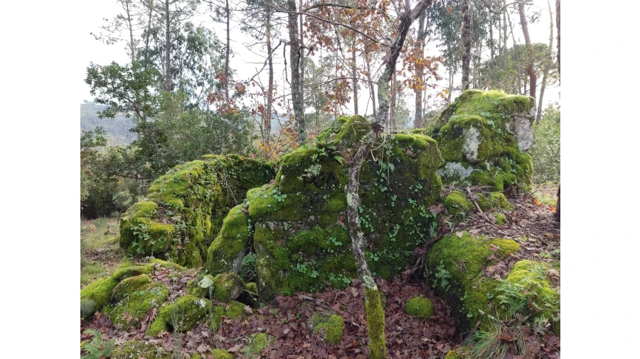 Terreno para Venda em Insua Foto 3