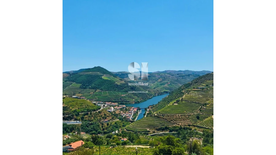 Negócio para Venda em Pinhão Foto 8