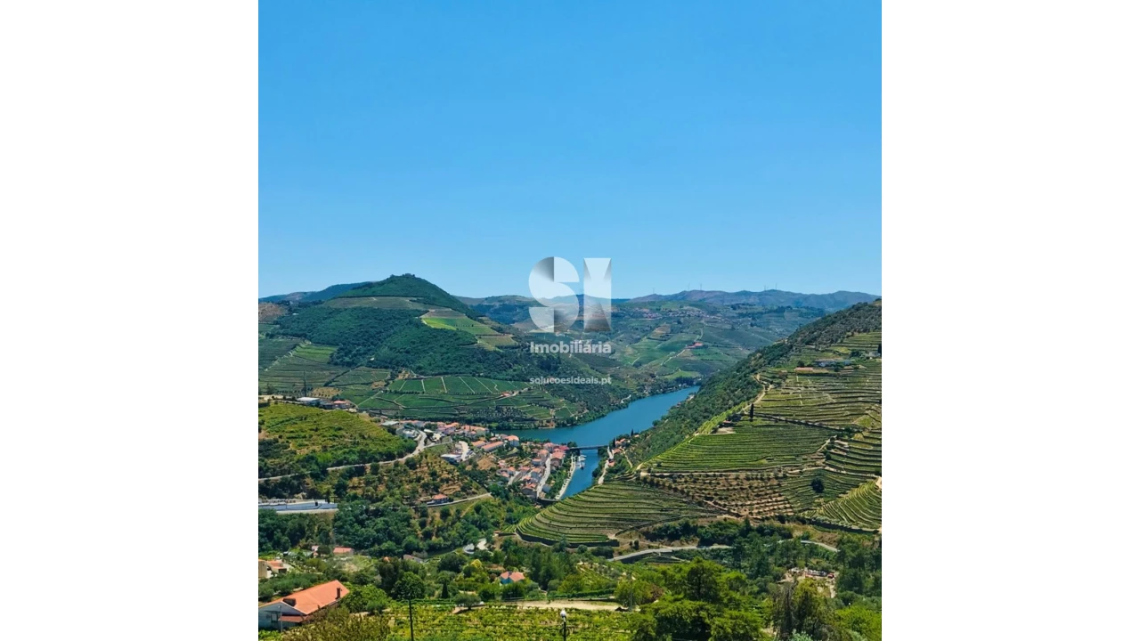 Negócio para Venda em Pinhão Foto 8