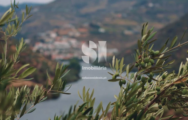 Prédio para Venda em Pinhão Foto 9