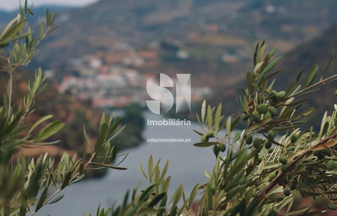 Prédio para Venda em Pinhão Foto 9