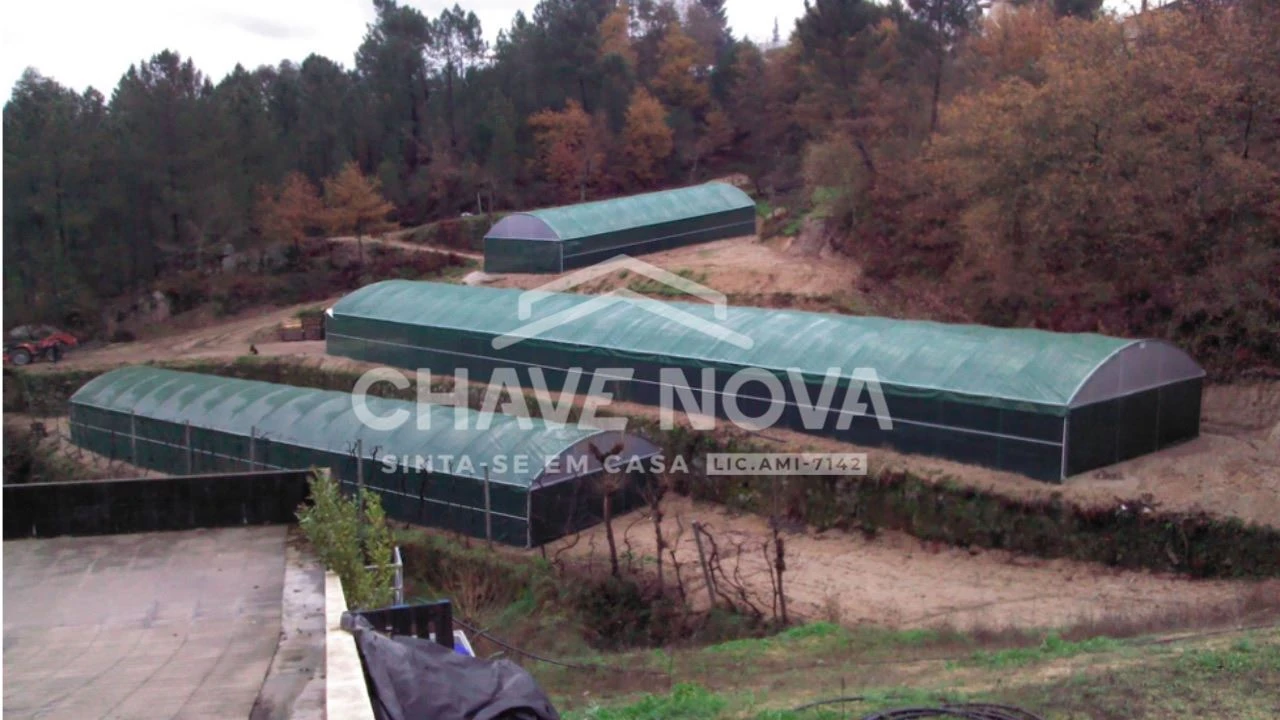 Quinta para Venda em Estorãos Foto 9