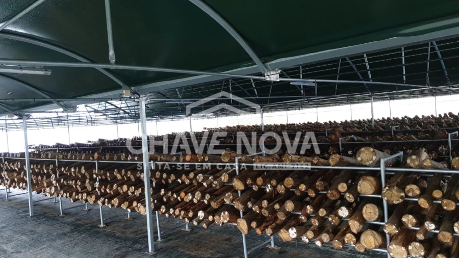 Quinta para Venda em Estorãos Foto 10