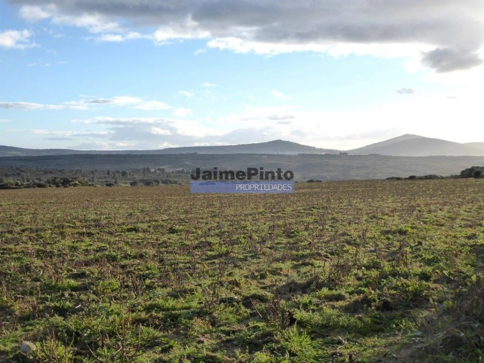 Terreno Agricola ou Rústico para Venda em Figueira de Castelo Rodrigo Foto 2