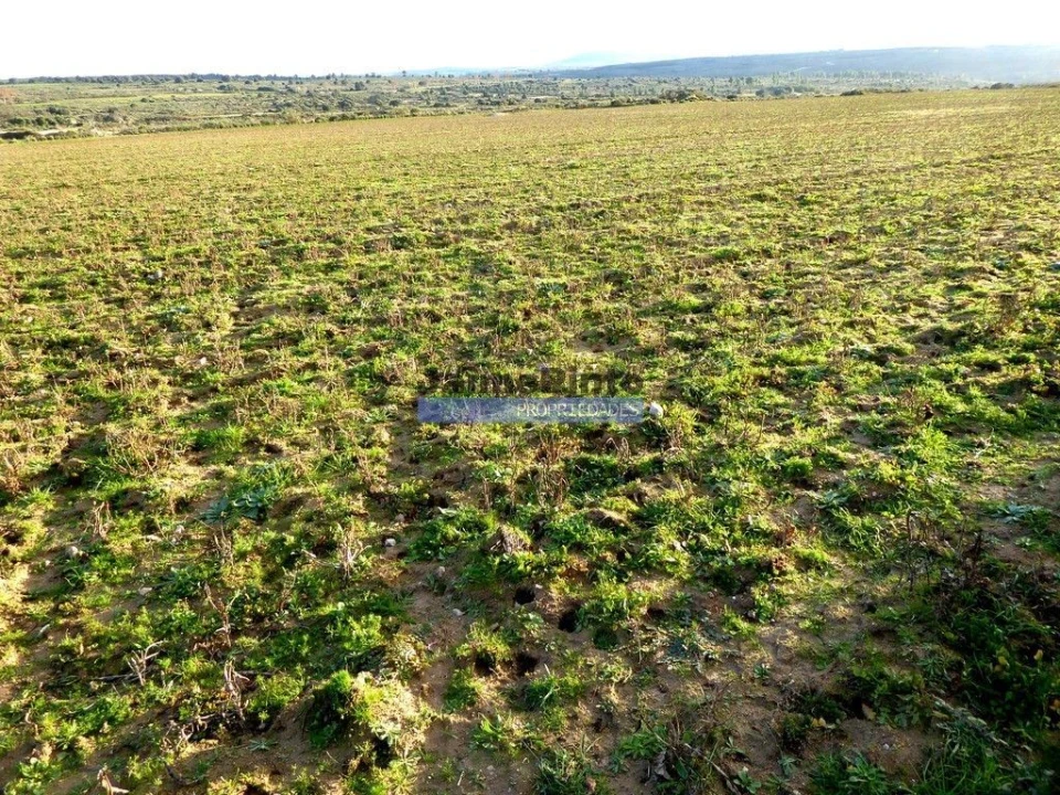 Terreno Agricola ou Rústico para Venda em Figueira de Castelo Rodrigo Foto 5