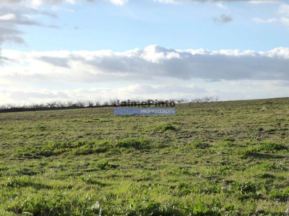 Terreno Agricola ou Rústico para Venda em Figueira de Castelo Rodrigo Foto 6