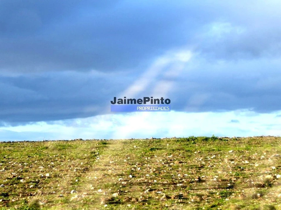 Terreno Agricola ou Rústico para Venda em Figueira de Castelo Rodrigo Foto 1