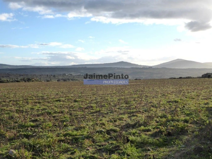 Terreno Agricola ou Rústico para Venda em Figueira de Castelo Rodrigo Foto 2