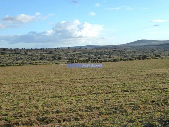 Terreno Agricola ou Rústico para Venda em Figueira de Castelo Rodrigo Foto 4