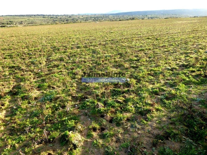 Terreno Agricola ou Rústico para Venda em Figueira de Castelo Rodrigo Foto 5