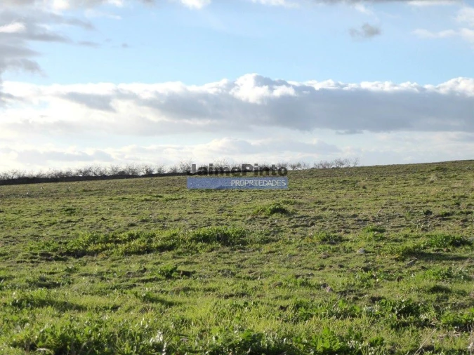 Terreno Agricola ou Rústico para Venda em Figueira de Castelo Rodrigo Foto 6