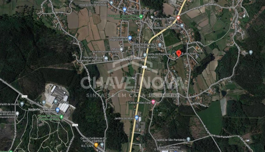 Terreno P/ Prédio para Venda em Muro Foto 11