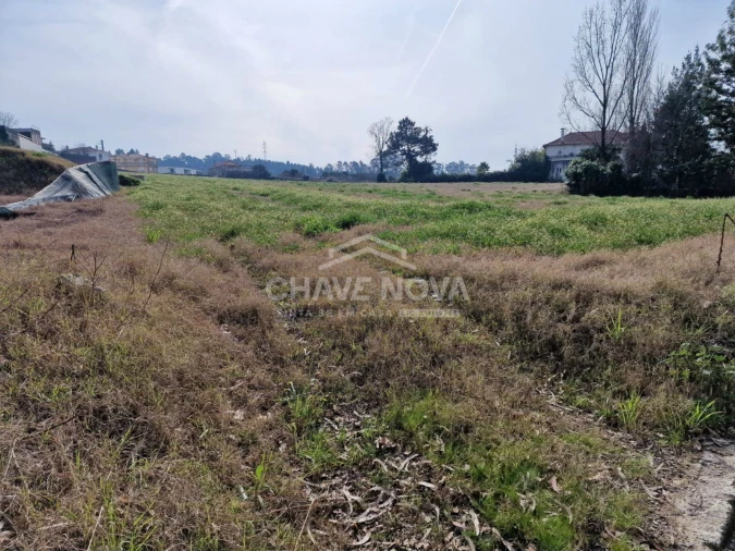 Terreno P/ Prédio para Venda em Muro Foto 1