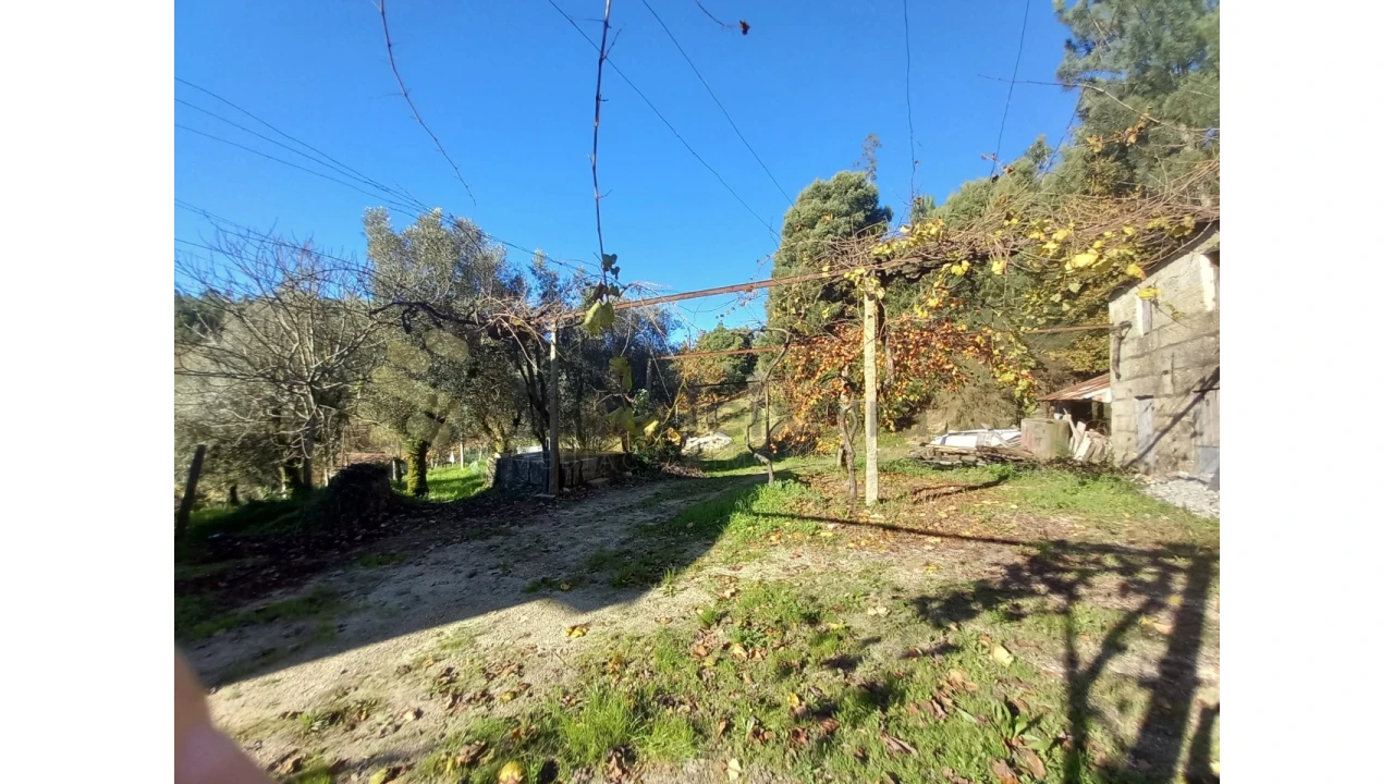 Quinta T5 para Venda em Vila Boa de Quires e Maureles Foto 15