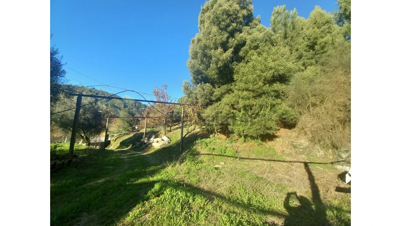 Quinta T5 para Venda em Vila Boa de Quires e Maureles Foto 22