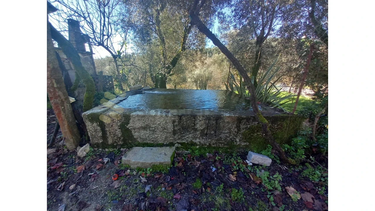 Quinta T5 para Venda em Vila Boa de Quires e Maureles Foto 23