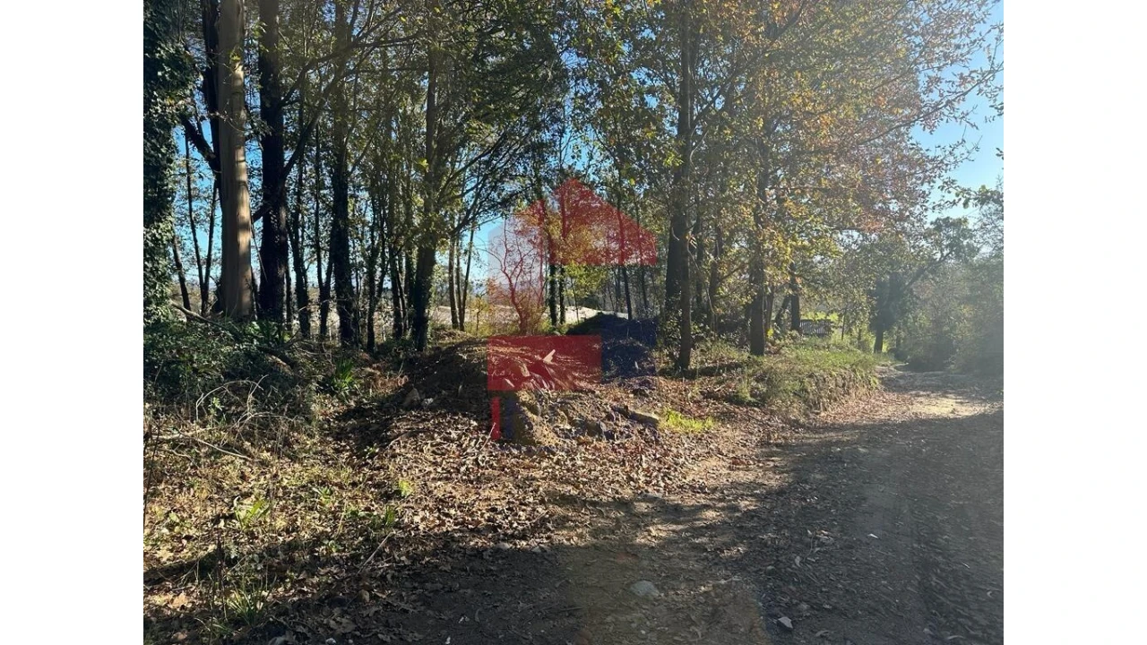 Terreno para Venda em Vila de Prado Foto 8