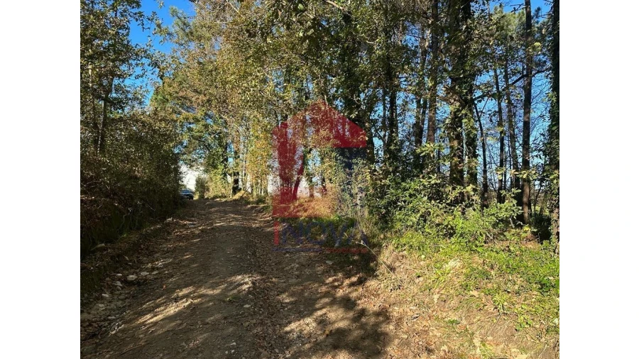 Terreno para Venda em Vila de Prado Foto 10