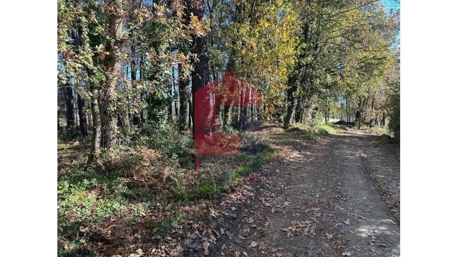 Terreno para Venda em Vila de Prado Foto 3