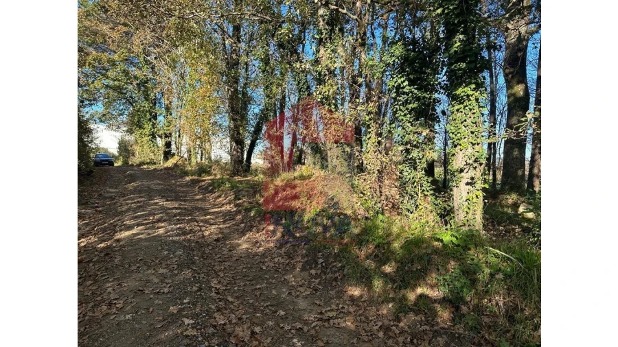 Terreno para Venda em Vila de Prado Foto 7