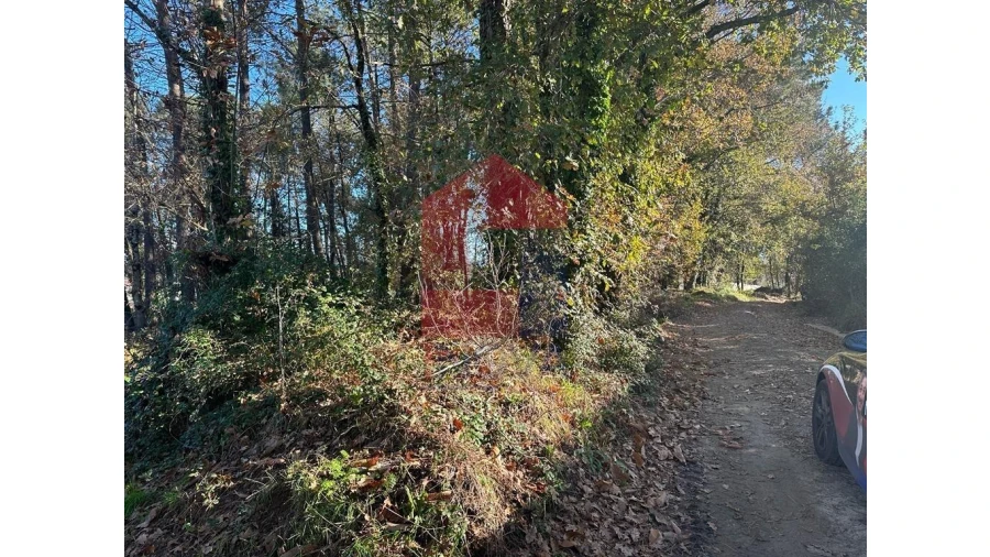Terreno para Venda em Vila de Prado Foto 2