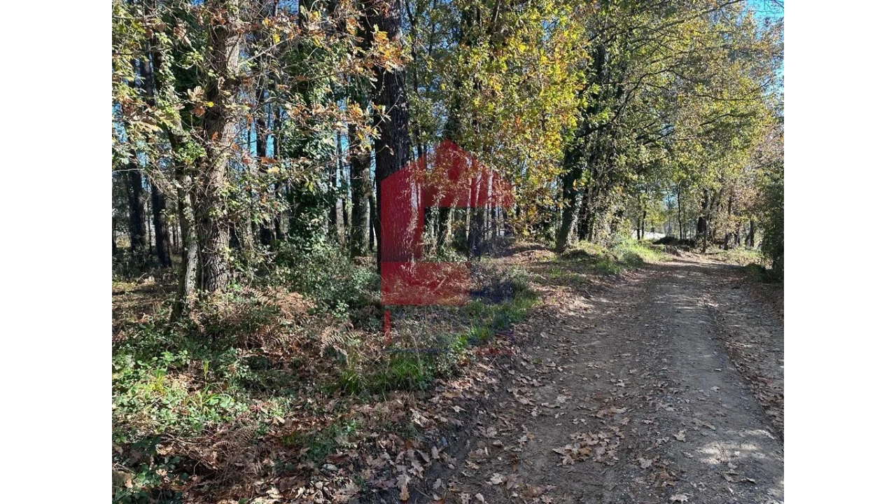 Terreno para Venda em Vila de Prado Foto 3