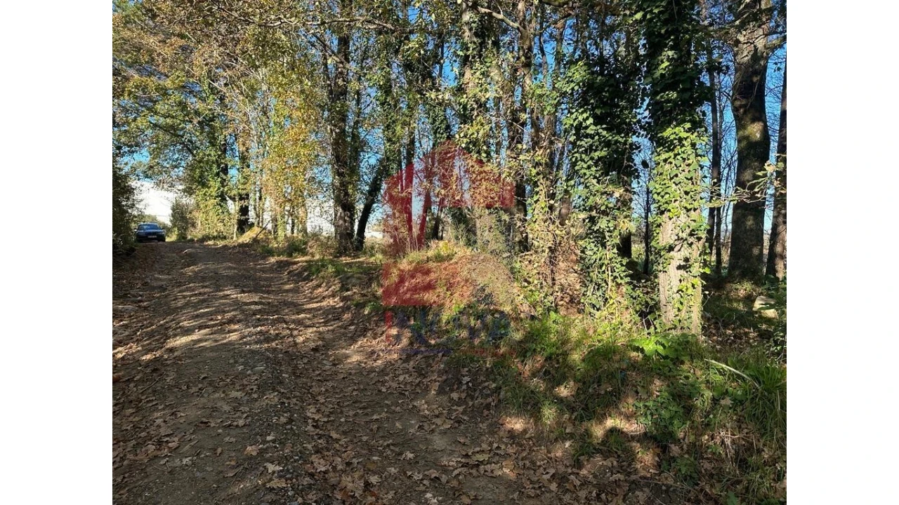 Terreno para Venda em Vila de Prado Foto 7
