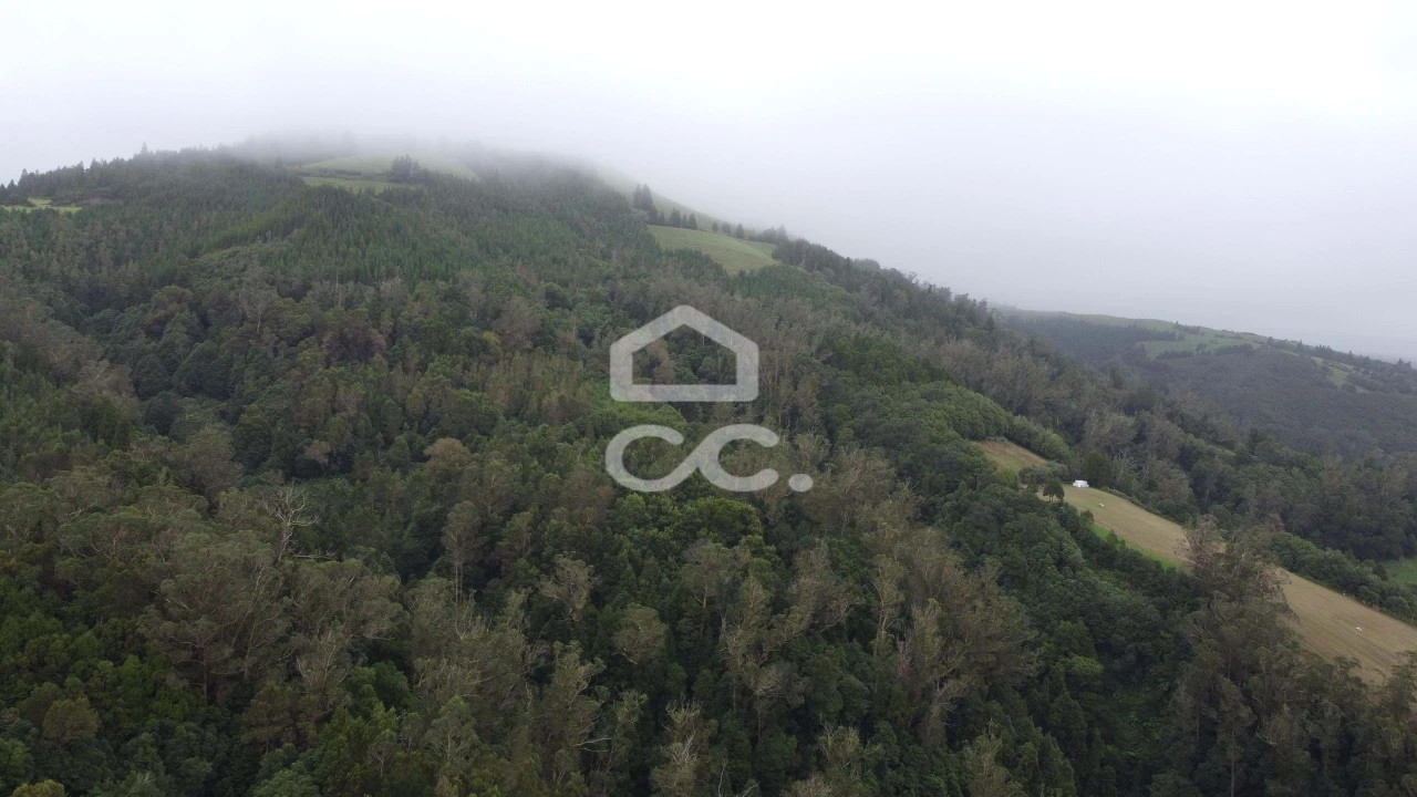 Terreno para Venda em Agua de Pau Foto 10