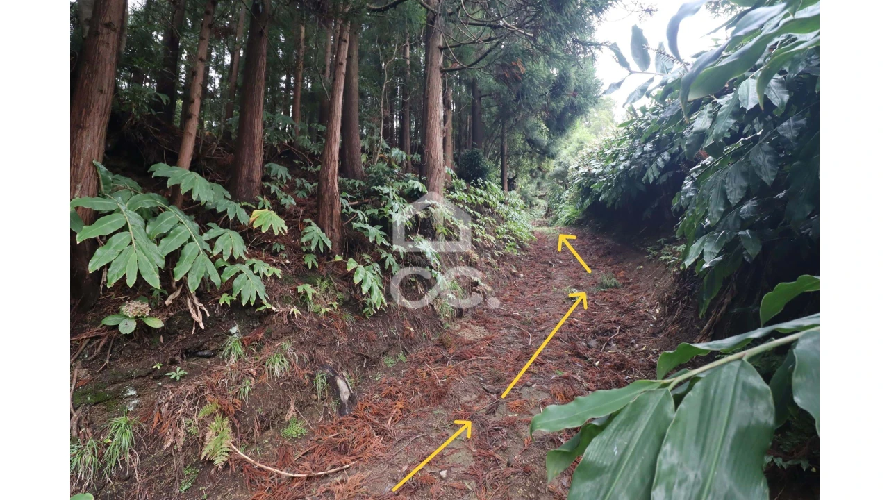 Terreno para Venda em Agua de Pau Foto 4