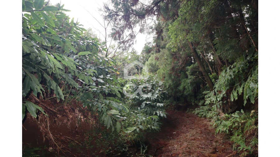 Terreno para Venda em Agua de Pau Foto 7