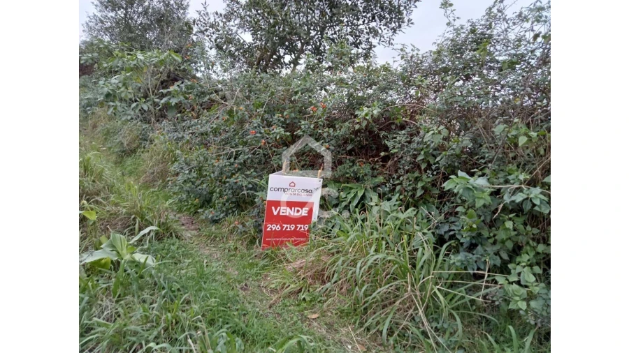 Terreno para Venda em Agua de Pau Foto 2