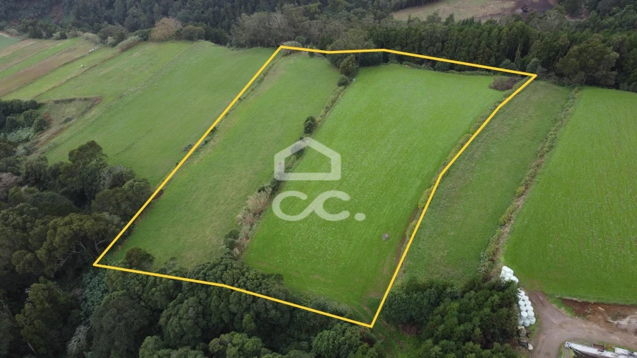 Terreno para Venda em Agua de Pau Foto 9