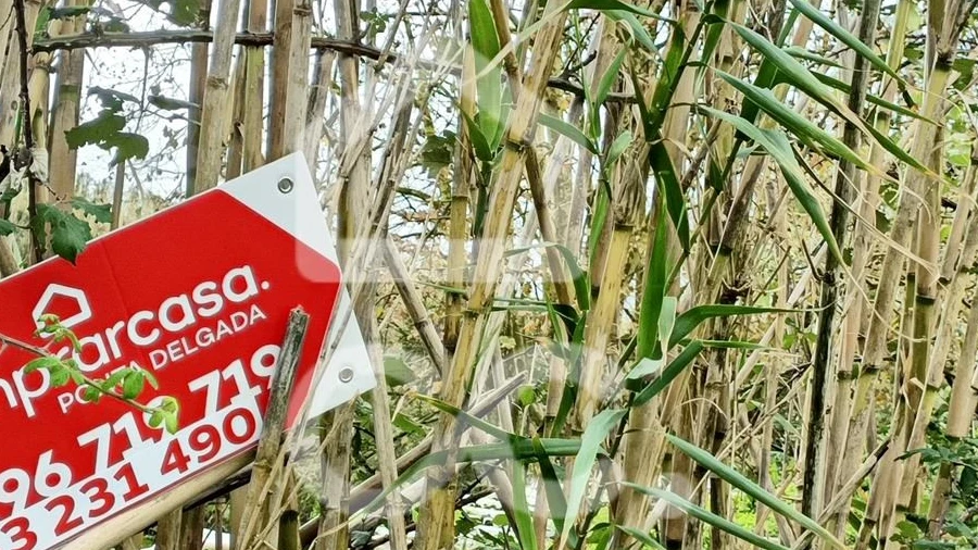 Terreno para Venda em Agua de Pau