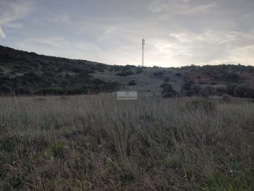 Terreno para Venda em Budens