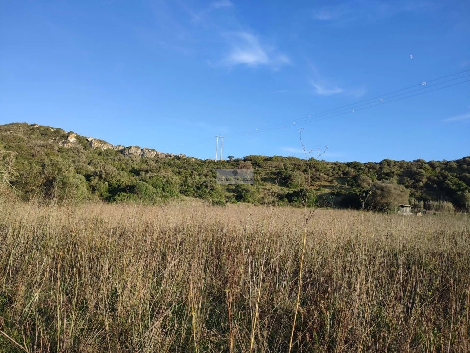 Terreno para Venda em Budens Foto 3