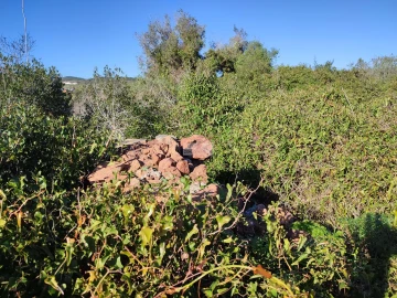 Terreno para Venda em Budens