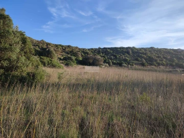 Terreno para Venda em Budens