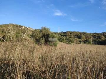 Terreno para Venda em Budens
