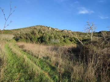 Terreno para Venda em Budens