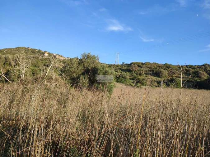 Terreno para Venda em Budens Foto 10