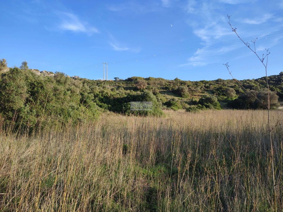 Terreno para Venda em Budens Foto 8