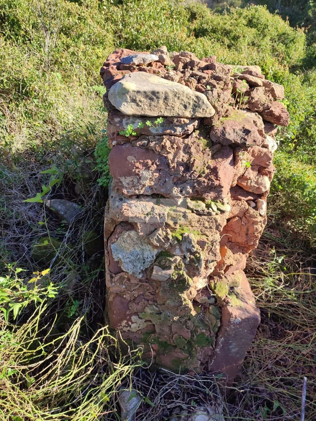Terreno para Venda em Budens Foto 14