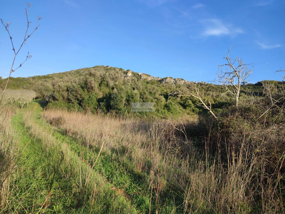 Terreno para Venda em Budens Foto 9