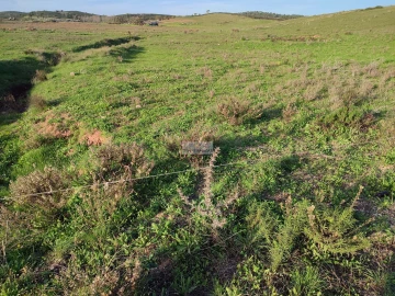 Terreno para Venda em Budens