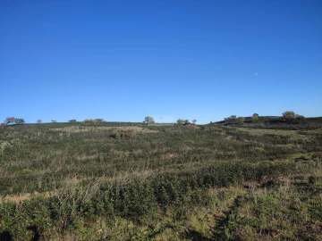 Terreno para Venda em Budens