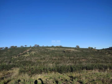 Terreno para Venda em Budens